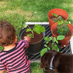 Plant Pot Grids 4PCS Plant Pot Soil Guard with Nails Grid Flower Cover Baby Safety Mouse Protector Repel Cats(Black Round 19cm)