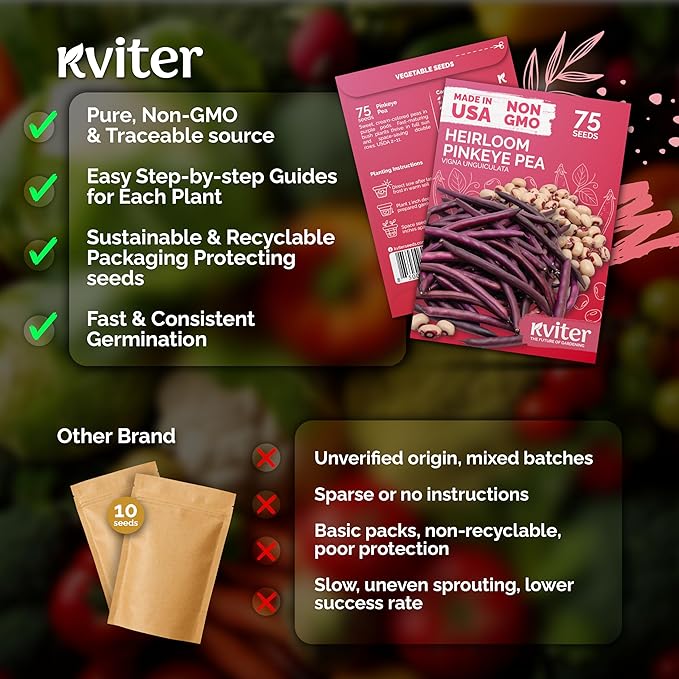 KVITER 75 Top Pick Pinkeye Cow Pea Seeds for Planting (Vigna Unguiculata) – Field Pea, Bush Purple Hull Peas, Heirloom & Organic | Peas & Beans – Vegetable Seeds for Outdoor Garden, Beds, Containers