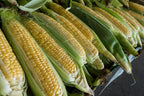 Park Seed Garden Combo – Mini-Me F1 Organic Cucumber Seeds & Honey Select Triplesweet Hybrid Corn Seeds | Non-GMO | Easy to Grow | Crisp Cucumbers & Sweet Corn | 2 Pack Bundle