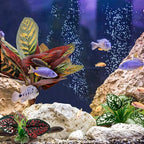 Moonorange Reptile Artificial Plants, Terrarium Plants Decorations Supplies, Aquarium Fish Tank Plant, Amphibian Habitat Hideout Tank Accessories(L Set-3pcs/D)