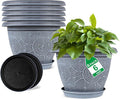 Fodetyff 6 Inch Flower Pots Planters for Indoor Outdoor Plants, 6 Pack Plastic Small Plant Pots with Drainage Hole & Tray, Modern Decorative Garden Pot with Saucer, Plant Container for House