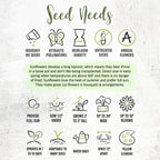 Seed Needs Sunflower Seeds for Planting Dwarf Sunspot Sunflowers - Heirloom & Open Pollinated Annual Cut Flower Seed to Plant 2 Foot Tall Sun Flowers (2 Packs)