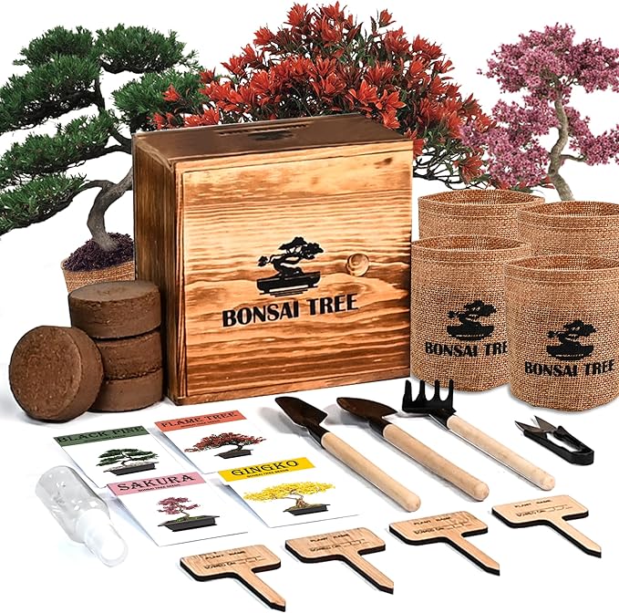 Bonsai Garden Starter Kit, 4 Seeds Growing into Sakura, Ginkgo, Black Pine, Red Flame, Including Complete Gardening Tools & A Planter Box with Cover for Men Women Beginners