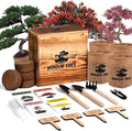 Bonsai Garden Starter Kit, 4 Seeds Growing into Sakura, Ginkgo, Black Pine, Red Flame, Including Complete Gardening Tools & A Planter Box with Cover for Men Women Beginners