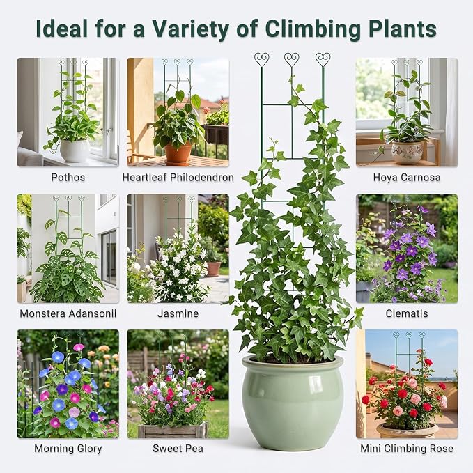 46 inch Plant Trellis for Climbing Plants, Metal Garden Trellis for Potted Houseplants Indoor & Outdoor, Rustproof Plant Support for Ivy Pothos Monstera Hoya Flower Vine, 1Pcs, Green
