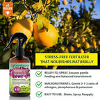 Gardenera Proffesional Aloe Vera Spray Fertilizer Mist for Home Gardening | 3-1-2 Gentle Blend Mist for Healthy Leaves & Growth | Essential Nutrients for Aloe Vera - 8oz