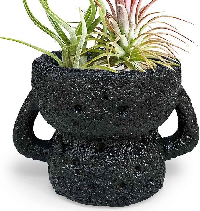 Air Plant Holders Unique, Lava Rock Air Plant Pot, Classy Black Plant Stand Container for Air Plants, Small Rock Pot (Black)