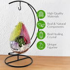 Creations by Nathalie DIY 7" DIY Teardrop Terrarium Kit - Build Your Own Glass Terrarium for Adults & Teens with Moss, Crystals, Tools & Decor - Handcrafted in the USA (Live Plant Included)