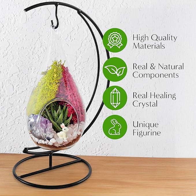 Creations by Nathalie DIY 7" DIY Teardrop Terrarium Kit - Build Your Own Glass Terrarium for Adults & Teens with Moss, Crystals, Tools & Decor - Handcrafted in the USA (Live Plant Included)