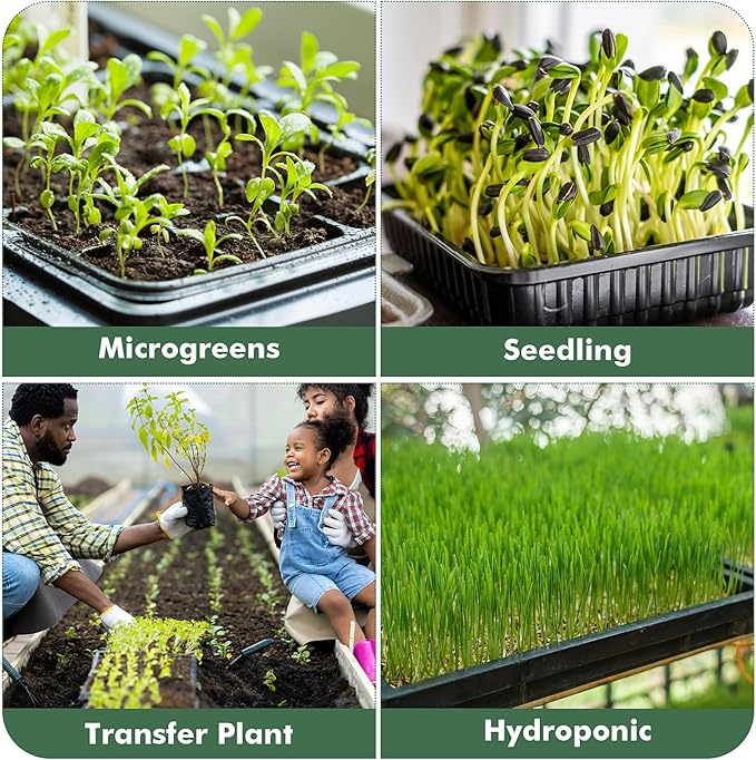 Sckee Upgraded 50 Pack Plant Growing Trays Seed Starting Tray Microgreens Growing Trays Seedling Plant Germination Starter Tray Transplant Fodder Flats, No Holes, No Leakage, Reusable (1017)