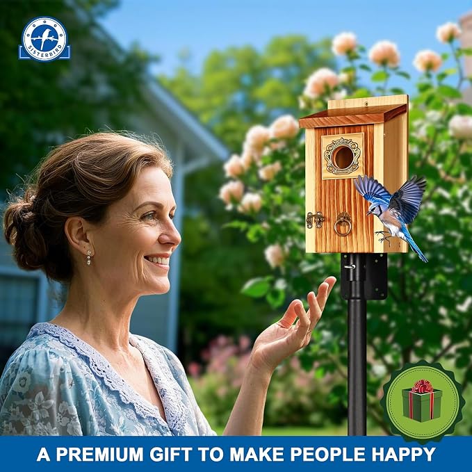 SISTERBIRD Premium Pack of 2 Bluebird Houses for Outside, Garden Bird Houses for Outdoor, Vintage Metal Predator Guard, Birdhouse Gift, Weatherproof Coating Bird Nesting, Assembly Required