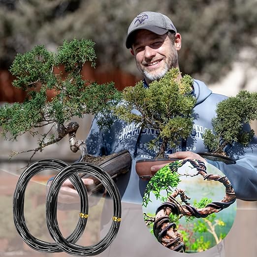 Bonsai Wire 2 Roll Black 1.5mm Aluminum Bonsai Training Wire for Fine Trunk (65 Feet Total)