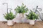 Der Rose 3 Pack Mini Potted Fake Plants Artificial Plastic Eucalyptus Plants Topiaries for Home Office Desk Farmhouse Shelf Room Bathroom Decor(Green)
