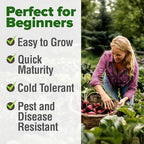 HOME GROWN Detroit Dark Red Beet Seeds 1000+ Heirloom Non-GMO Seeds for Planting, High Germination, Sweet Root Vegetable, Edible Greens, Canning, Pickling, Winter Storage (Beta vulgaris)