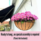 LaLaGreen Hanging Baskets for Plant Outdoor (20 Inch, 2 Pack) Extra Large Black Metal Wire Hanging Planter with Coco Liner Round Flower Pot Holder Hanger Deck Porch Modern Garden Balcony Country Decor