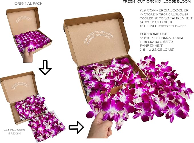 Miami Fresh Orchid Loose Bloom PERISHABLE flowers OrchidClub USA Sunne Tropical DIY lei, food & drink decoration (100 PURPLE)