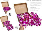 Miami Fresh Orchid Loose Bloom PERISHABLE flowers OrchidClub USA Sunne Tropical DIY lei, food & drink decoration (100 PURPLE)