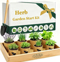 Indoor Herb Garden Start Kit - Unique Gifts for Women, Mothers Day Gifts, Easy House Plant- Birthday for Women,House Warming Gift New Home- Fresh Herb Garden DIY Crafts for Adults