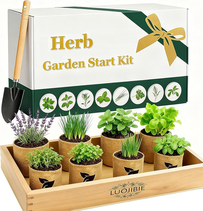 Indoor Herb Garden Start Kit - Unique Gifts for Women, Mothers Day Gifts, Easy House Plant- Birthday for Women,House Warming Gift New Home- Fresh Herb Garden DIY Crafts for Adults