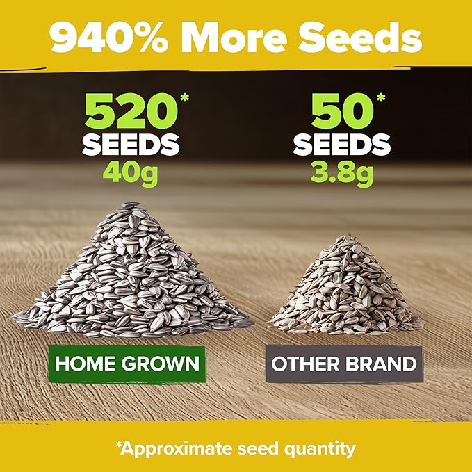 HOME GROWN Sunflower Seeds to Plant | 520+ Giant Mammoth Sunflower Seeds for Planting Bulk Packet | Heirloom, High Germination, Easy to Grow Jumbo Sun Flower for Home Garden(Helianthus annuus)