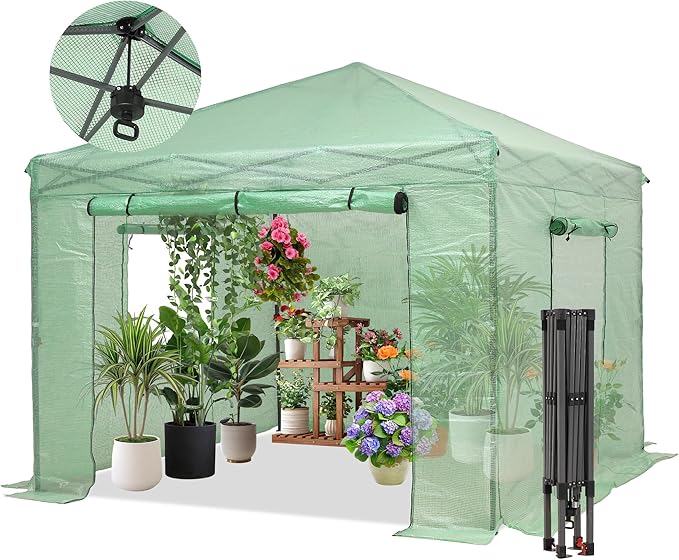 GDY 10X10FT Instant Pop-up Greenhouse, Walk-in Plant Gardening Green House with PE Cover/Roll-Up Zipper Doors/Side Windows for Indoor, Backyard and Outside, Green/Clear.