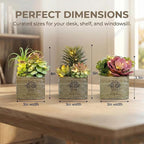 Mingfuxin Small Fake Plants, 3 Packs Mini Succulent Plants Artificial with Led Lights for Indoor Bathroom Bedroom Desk Office Decor