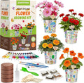 Paint & Plant Flower Growing Kit for Kids - Easter Gifts for Kids Gardening Set with 4 Pots - Unique Birthday, Crafts & Arts, Gardening Gifts for Girls & Boys, Ages 5, 6, 7, 8-12 Years Old