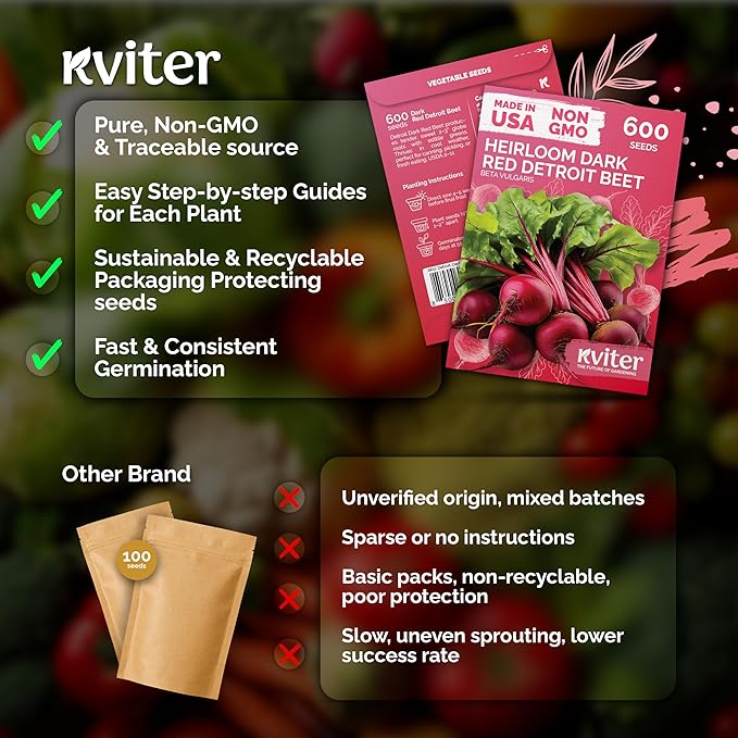KVITER 600 Detroit Dark Red Beet Seeds (Beta vulgaris) - Known As Beet Root, Tender & Sweet 2-3" Red Beets - Non Gmo & Heirloom Vegetable Seeds For Planting Outdoors in Garden, Raised Beds, Containers