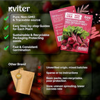 KVITER 600 Detroit Dark Red Beet Seeds (Beta vulgaris) - Known As Beet Root, Tender & Sweet 2-3" Red Beets - Non Gmo & Heirloom Vegetable Seeds For Planting Outdoors in Garden, Raised Beds, Containers