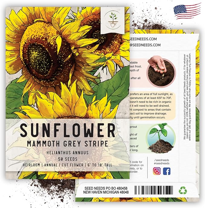 Seed Needs Mammoth Grey Stripe Sunflower Seeds for Planting - Heirloom & Open Pollinated Flower Seed to Plant an Outdoor Butterfly Garden (1 Pack)