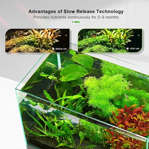 FZONE Root Tabs, Aquarium Plant Fertilizer, Safe for Fish & Shrimp, 60g/Box
