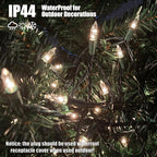 HISHINY Christmas Lights 100 Count Clear Christmas Tree Lights String with Green Wire for Outdoor Indoor Christmas Decorations Wedding Decorations Valentines Day Decor,UL Certified (21feet)