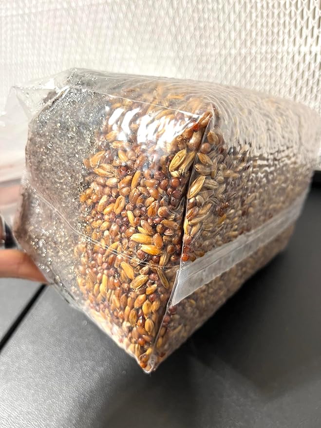 Magical 5 lb Mushroom All in One Grow Bag for Manure Loving Mushrooms with Injection Port and 0.2 Micron Breathable Filter