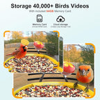birdsnap® PAV-Bird Feeder with Camera,2K HD with 64GB Card, AI Identify Smart Bird House Cam Solar Panel,Live Stream,Motion Detection,Auto Record Video for Backyard Outdoors,Ideal Gift for Bird Lover