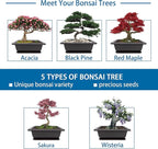 Bonsai Starter Kit, 5 Seeds Growing into Acacia, Wisteria, Sakura, Red Maple and Black Pine, Including Complete Gardening Tools with A Gift Box for Men Women Beginners