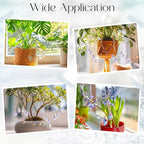 6 Pcs Crystal Sun Catcher Plant Vine Charms Hanging for Mini Potted Plants, Home Window Garden, Garden Home Window Rainbow Sun Catchers Plant Accessories Indoor (Colorful)