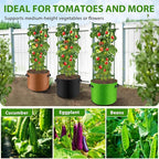Suntee 3 Pack Tomato Cage with 10 Gallon Grow Bags, 48 Inch Tomato Cages for Garden Patio Balcony, Adjustable Height Tomatoes Plant Support for Climbing Vegetables Plants Flowers