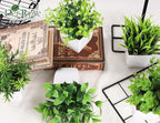 Der Rose 6 Pack Small Fake Plants Artificial Plants in Pots for Home Bthroom Bedroom Living Room Decor Indoor（Green）