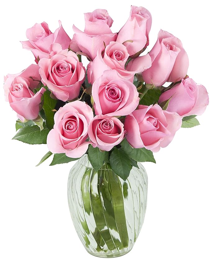 KaBloom - Bouquet of 12 Fresh Pink Roses (Farm-Fresh, Long-Stem) with Vase - Fresh Flowers for Birthday, Valentine's & Mother's Day