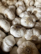 Garlic Seed Bulbs, Large Cloves, Cold Hardy, Bold Flavor (10)