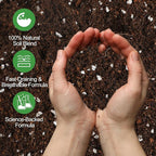 Pothos Potting Soil -Pure Natural Organic Soil 2qt, Well-Draining and Aerated for Healthy Indoor Plants