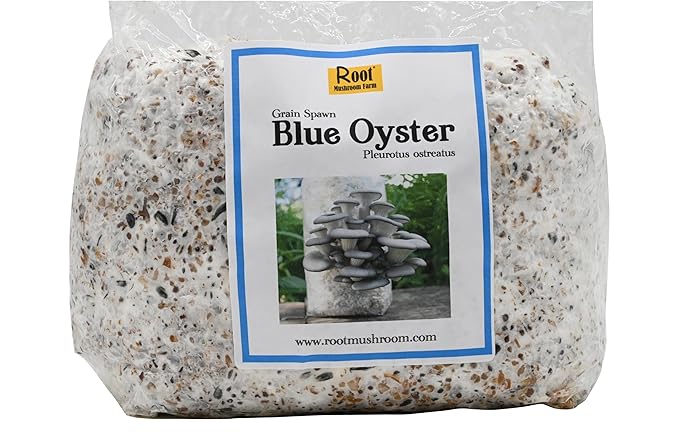 Root Mushroom Farm-Blue Oyster Grain Spawn(NOT A GROW KIT)