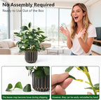 florisso Artificial Succulents with Fig Leaf Greenery in Black & Gold Planter, Fake Succulents Potted Decor for Farmhouse, Bathroom, Bedroom, Kitchen, Office Desk and Coffee Table (Black Gold)