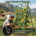 Miory 2 Pack Cucumber Trellis, 32"×48" Garden Trellis for Climbing Plants Outdoor, A-Frame Vegetable Trellis for Raised Bed, Support for Tomatoes, Zucchini, Vines, Flowers