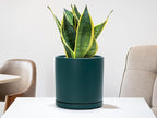 D'vine Dev 8 Inch Ceramic Planter Pot with Drainage Hole and Saucer, Indoor Cylinder Round Planter Pot, Teal, 94-O-D-9