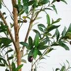 Potted Olive Artificial Tree - 9' - Green