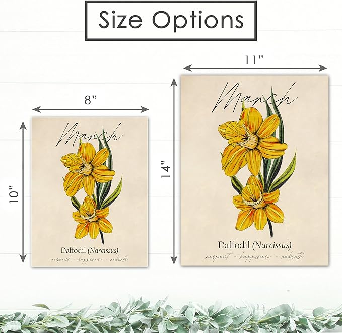 March Birth Flower Art Print - 11x14 (Unframed) | Capturing the Splendor of the March Birth Flower | Decor Accent for Birthdays and Special Occasions | Living Room Decor | Modern Home Decor