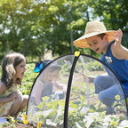 PURPLE STAR 1N 22 x 22 x 23 Inch Insect Barrier Plant Tent Cover-Bug Guard Cover with Stakes-Insect Bird Barrier Netting Mesh for Protect Vegetable Plants Fruits Flowers from Birds Animal Eating(S)