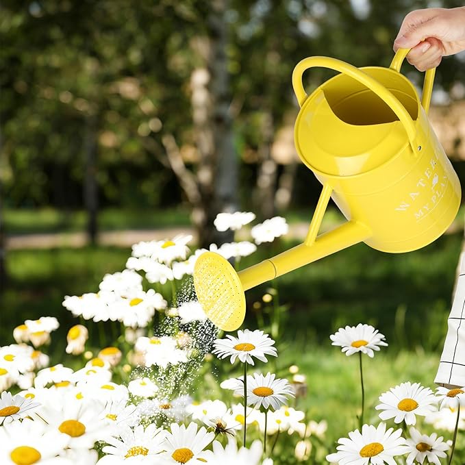 Galvanized Watering Can for Outdoor Indoor Plants, 1 Gallon Decorative Countryside Water Can with Removable Spout, Metal Watering Can for Indoor Plants and Garden Flower (Yellow)