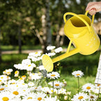 Galvanized Watering Can for Outdoor Indoor Plants, 1 Gallon Decorative Countryside Water Can with Removable Spout, Metal Watering Can for Indoor Plants and Garden Flower (Yellow)